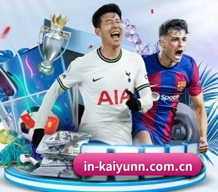in-kaiyunn.com.cn APP 界面