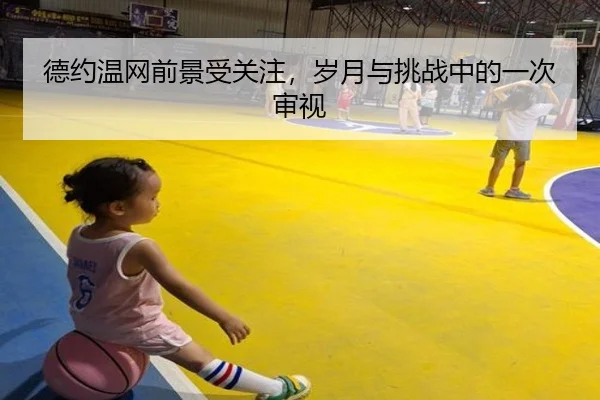 德约温网前景受关注，岁月与挑战中的一次审视
